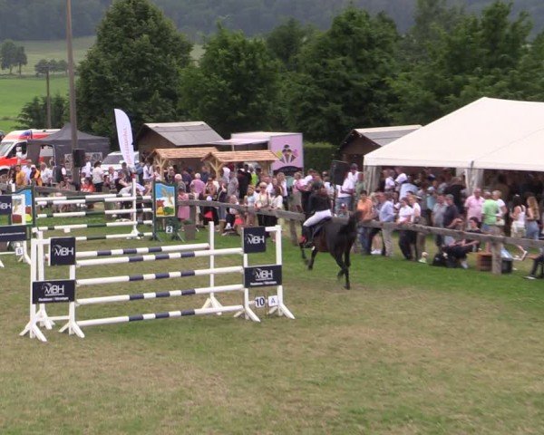 Reitturnier Wingerode 2025