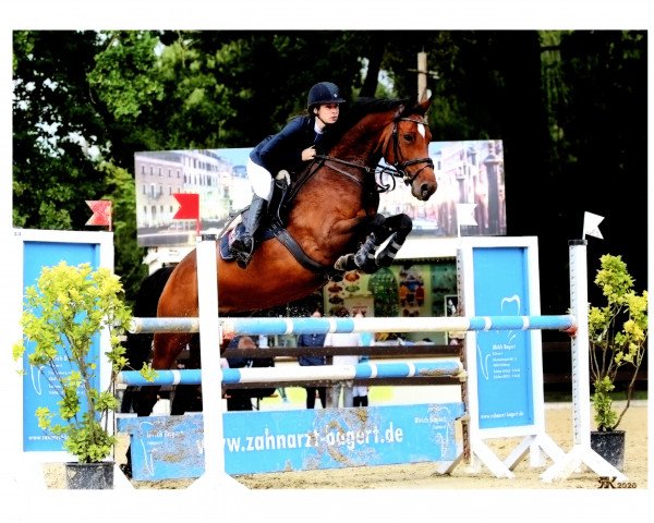 jumper Al Cadiz (Westphalian, 2014, from Arpeggio)