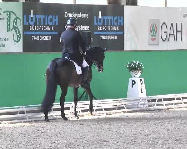 Walldorf 2014