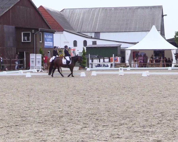Reitturnier Sörup Dressurturnier 2025