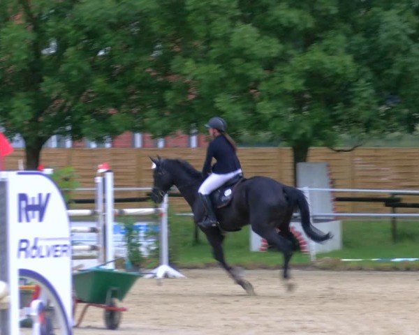 Reitturnier Coesfeld/Lette 2025
