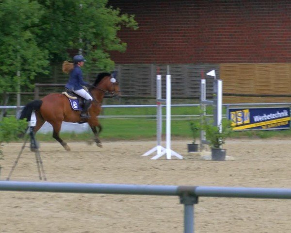 Reitturnier Coesfeld/Lette 2025