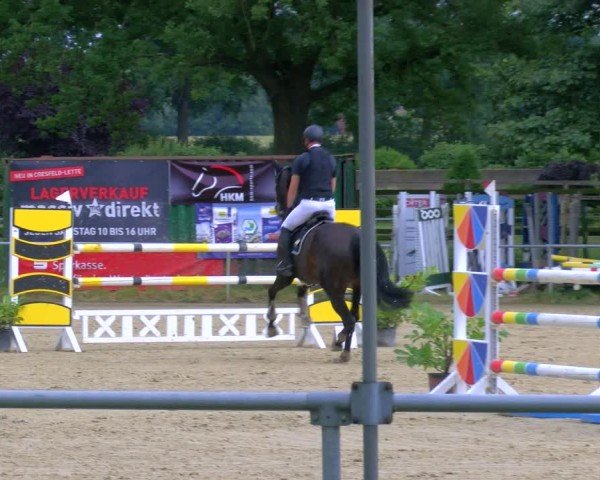 Reitturnier Coesfeld/Lette 2025