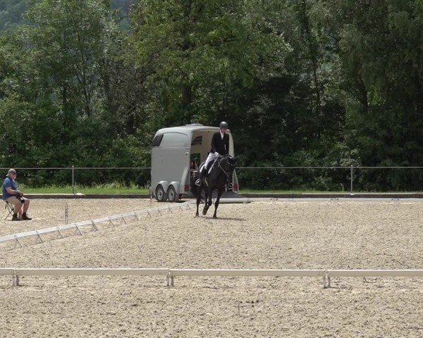 Reitturnier Maienfeld 2025