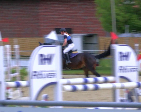 Reitturnier Coesfeld/Lette 2025