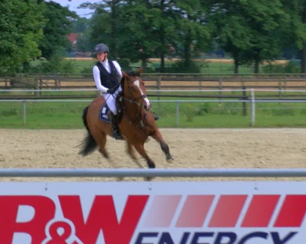 Reitturnier Coesfeld/Lette 2025