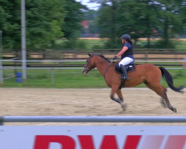 Reitturnier Coesfeld/Lette 2025