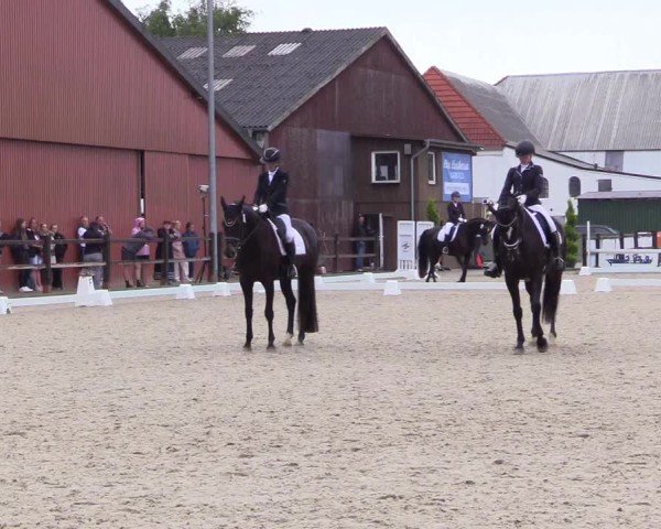 Reitturnier Sörup Dressurturnier 2025
