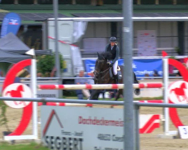 Reitturnier Coesfeld/Lette 2025