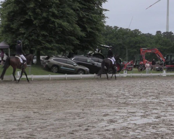Reitturnier Coesfeld/Lette 2025