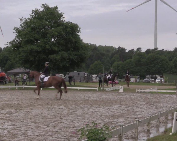 Reitturnier Coesfeld/Lette 2025