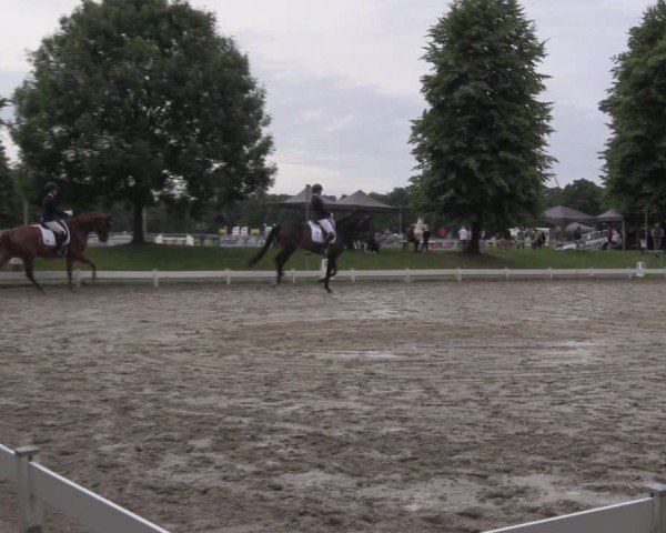 Reitturnier Coesfeld/Lette 2025