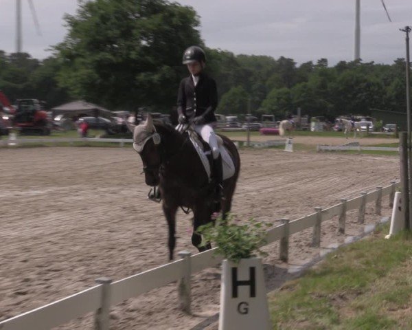 Reitturnier Coesfeld/Lette 2025