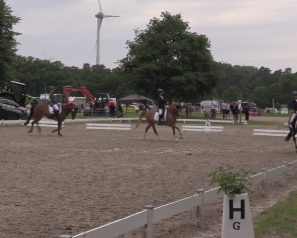 Reitturnier Coesfeld/Lette 2025