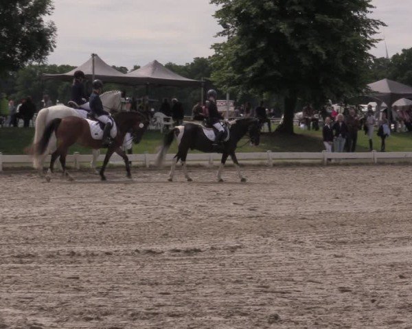 Reitturnier Coesfeld/Lette 2025