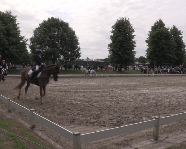 Reitturnier Coesfeld/Lette 2025