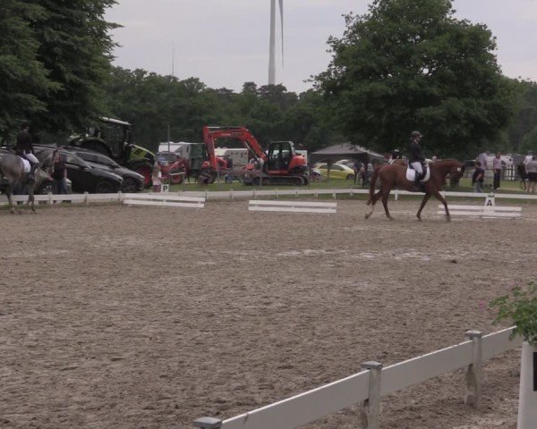 Reitturnier Coesfeld/Lette 2025