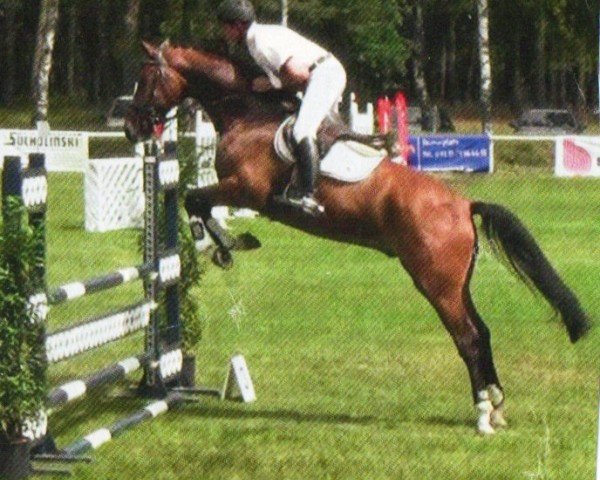horse For Garanted (Hanoverian, 2007, from For Edition)
