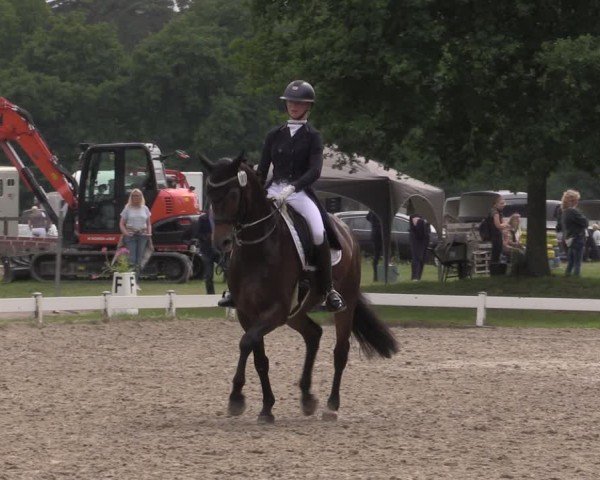 Reitturnier Coesfeld/Lette 2025