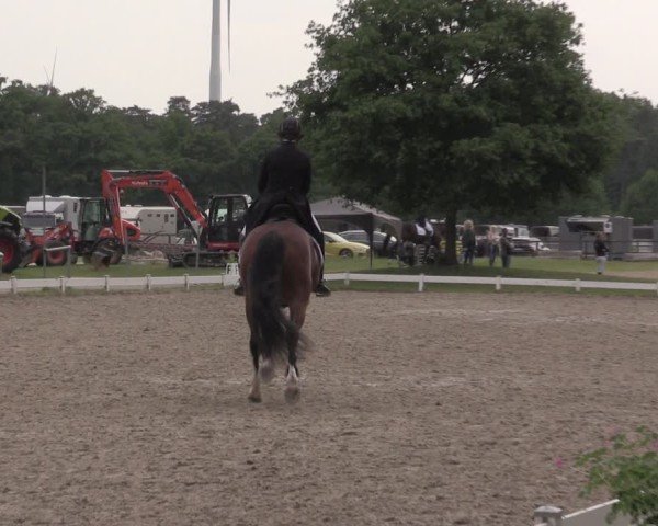 Reitturnier Coesfeld/Lette 2025