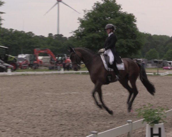 Reitturnier Coesfeld/Lette 2025