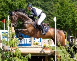 Springpferd Chiquita 88 (Polnisches Warmblut, 2012, von Vandamme)