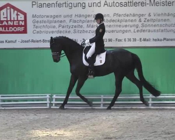 Walldorf 2014