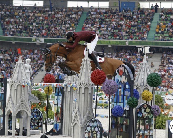 Springpferd Toulini Olympic (Dänisches Warmblut, 2012, von Toulouse)