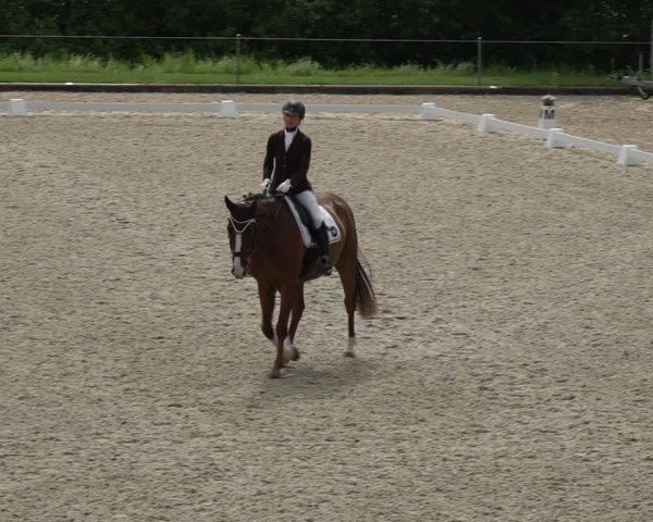 Reitturnier Maienfeld 2025