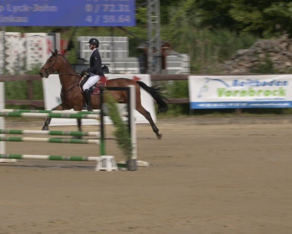 Reitturnier Schönfeld 2025