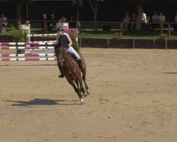 Reitturnier Schönfeld 2025