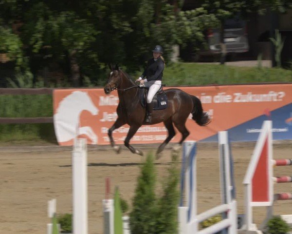 Reitturnier Schönfeld 2025