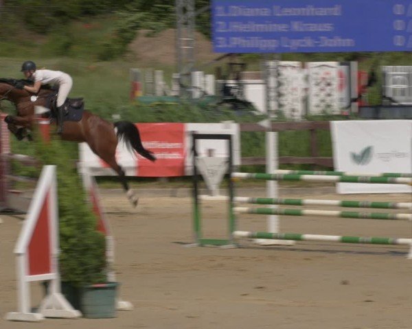 Reitturnier Schönfeld 2025