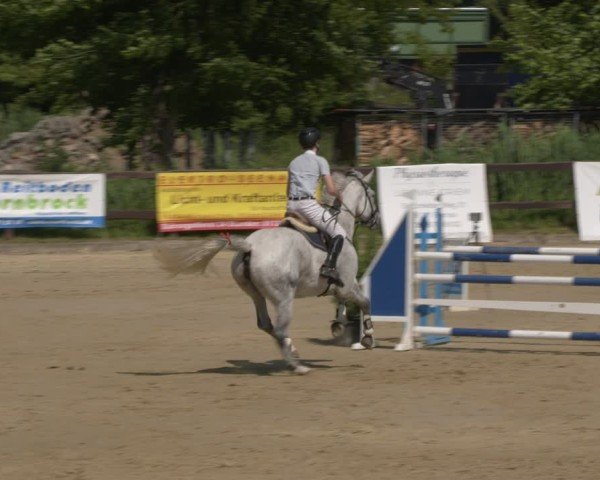 Reitturnier Schönfeld 2025