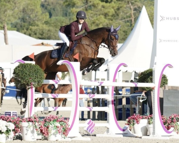 jumper Lopez 39 (German Sport Horse, 2012, from Lord Argentinus)