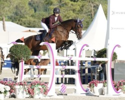 jumper Lopez 39 (German Sport Horse, 2012, from Lord Argentinus)
