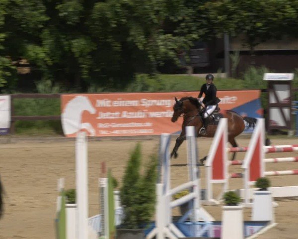 Reitturnier Schönfeld 2025