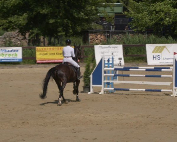 Reitturnier Schönfeld 2025