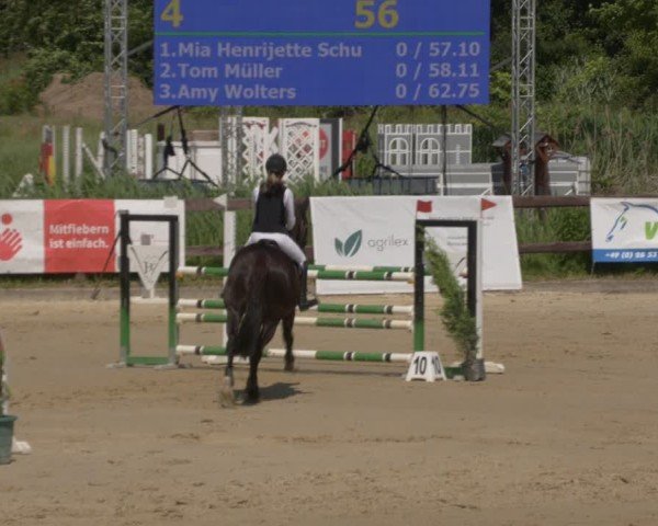 Reitturnier Schönfeld 2025