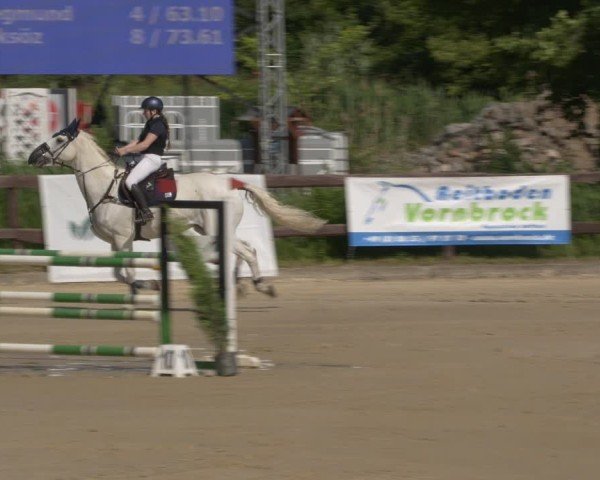 Reitturnier Schönfeld 2025