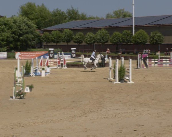 Reitturnier Schönfeld 2025