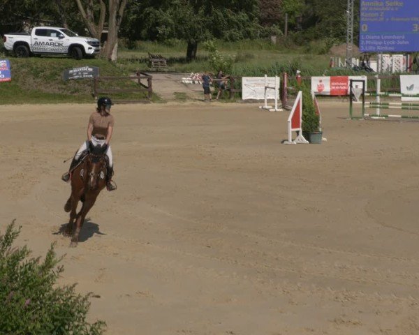 Reitturnier Schönfeld 2025