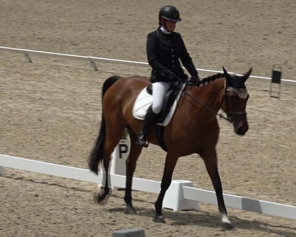 Reitturnier Maienfeld 2025