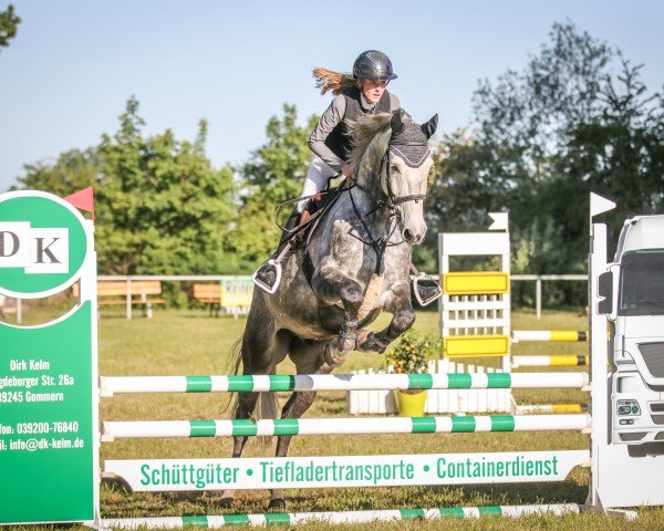 jumper Calisto B (German Sport Horse, 2019, from Cloud number nine)