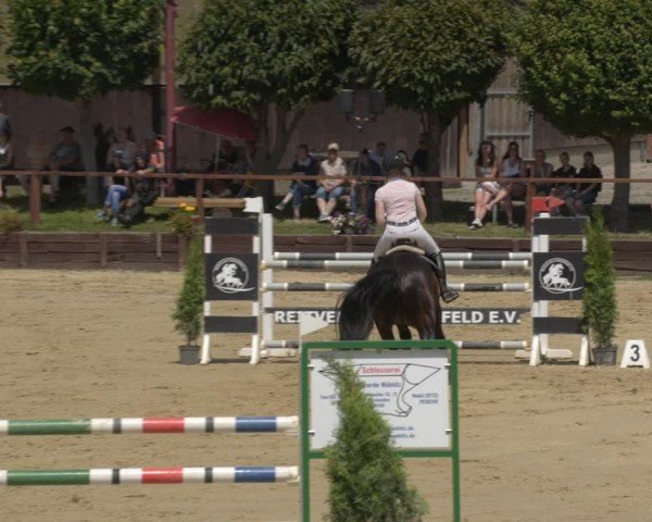Reitturnier Schönfeld 2025