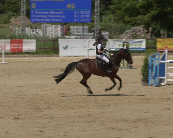 Reitturnier Schönfeld 2025