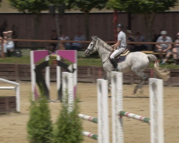 Reitturnier Schönfeld 2025