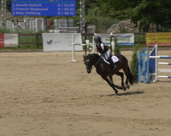 Reitturnier Schönfeld 2025