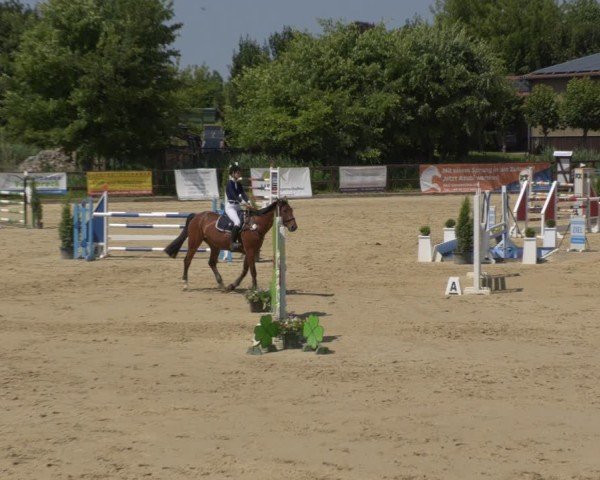 Reitturnier Schönfeld 2025