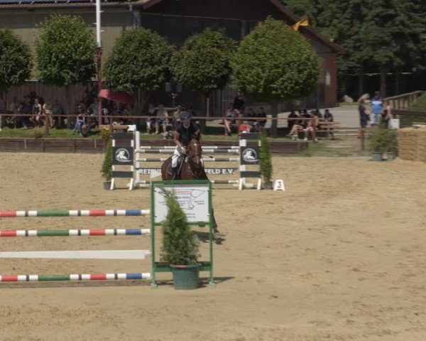 Reitturnier Schönfeld 2025